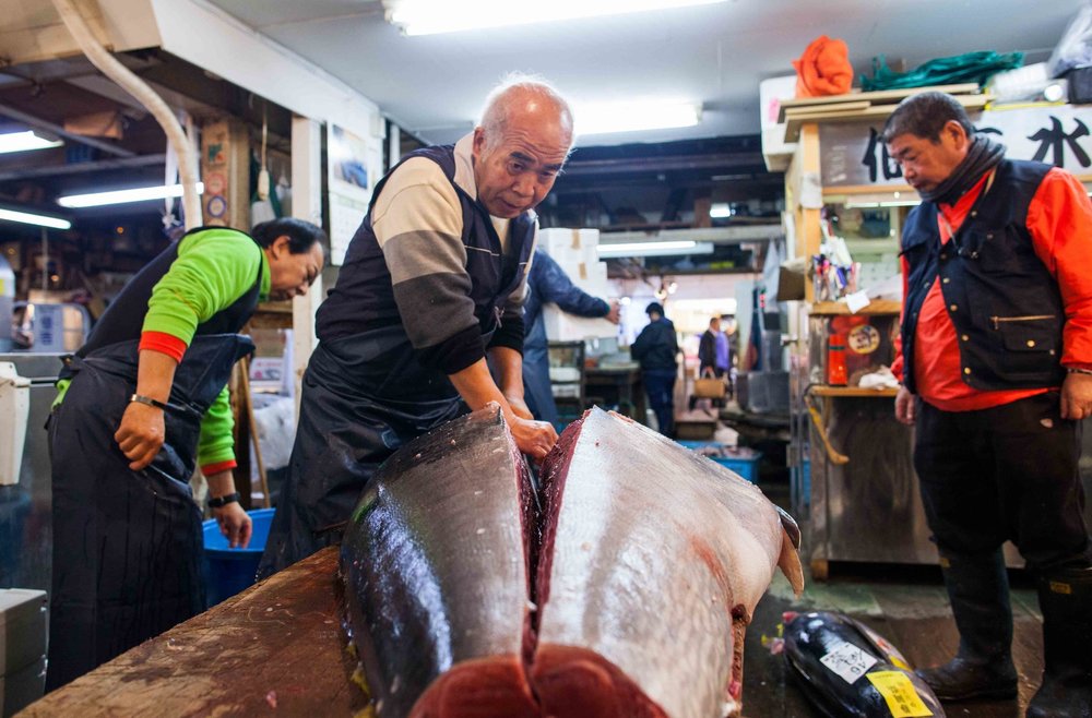 Tsukiji's+last+workers+by+Rob+Bain+&+Far+Features+|+Far+Features+media+production+company+|+Japan+|+largest+fish+market+|+photo+essay7.jpg